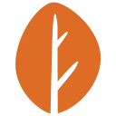 Nsai